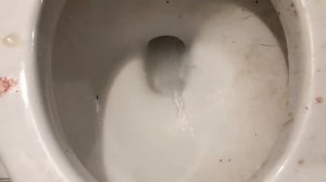 Will it Flush? - Coca Cola, Fanta, Mirinda Balloons and Plastic Balls