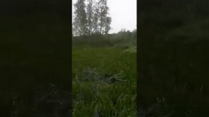 Что может болотоход с гибким валом