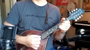 Saltarello - Mandolin