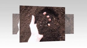 Охрана природы. Презентация для детей. Окружающий мир.