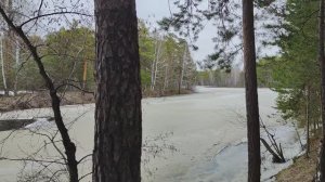 Зацепинский пруд в начале апреля