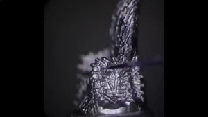 Самые необычные хобби мира! В это трудно поверить!