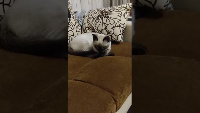 незн