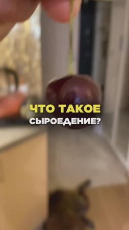 Что такое сыроедение!