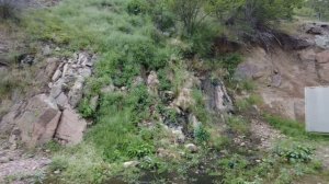 Узбекистан. Дикая природа Янгиабада! Советский город изнутри.
