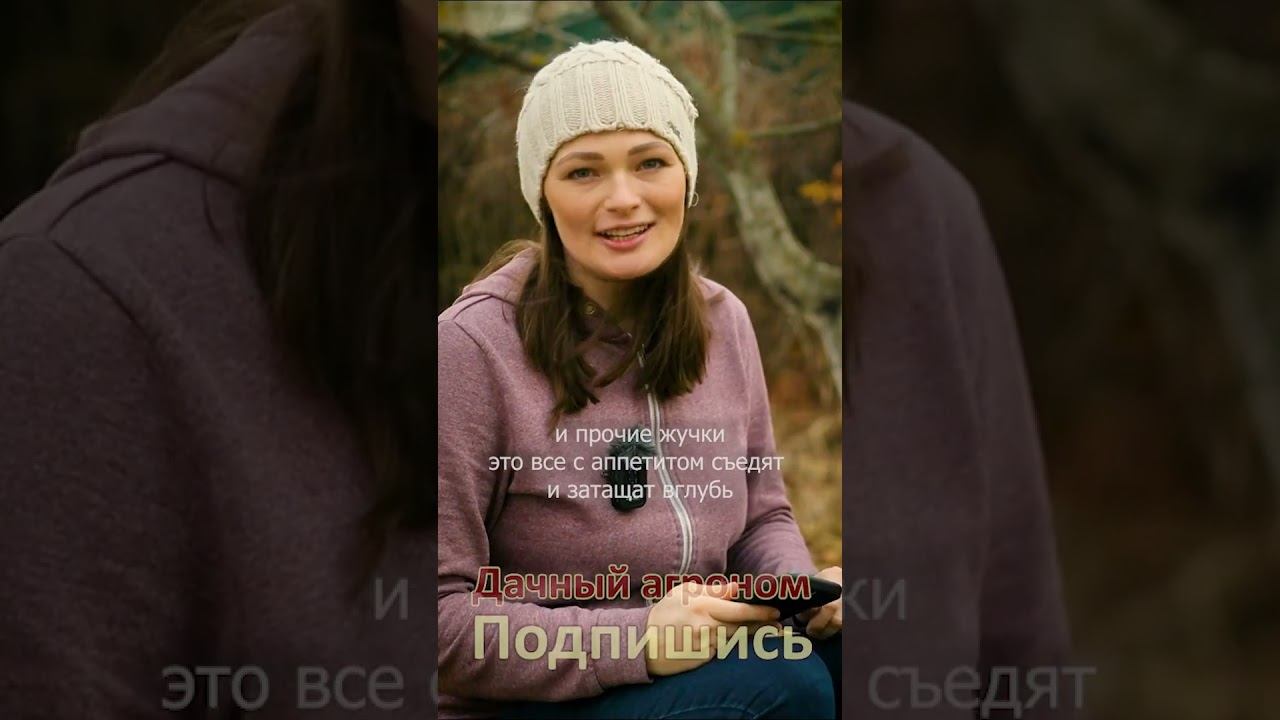 ПОШАГОВО Сделай ЛЮБУЮ почву как ХЛЕБ Дачный агроном