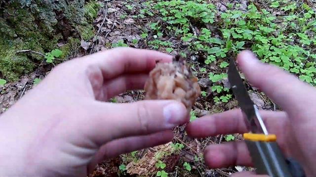 Уклейка и Строчки на Угре смотреть онлайн