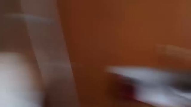 Летучая мышь переполошила офис в Мелитополе смотреть онлайн