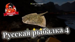 Русская рыбалка 4 Норвежское море с берега