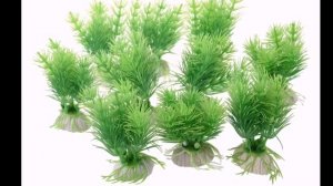 ЖИВЫЕ ИЛИ ПЛАСТИКОВЫЕ РАСТЕНИЯ В АКВАРИУМЕ ? КАКИЕ ВЫБРАТЬ ???