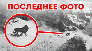 Последние встречи с вымершими видами