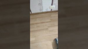 Кухонная машина Bosch MUM 4