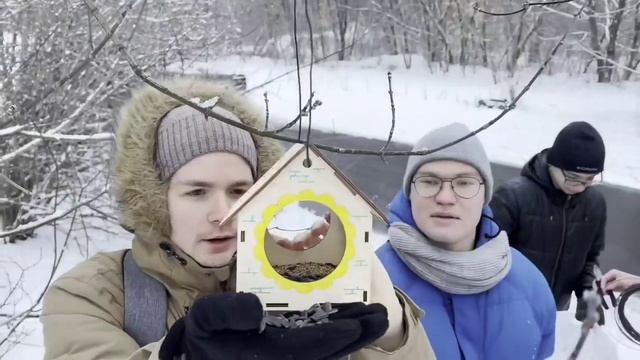 Вешаем кормушки???