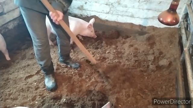 ЖДЕМ МАМУ В ГОСТИ , НЕ МНОГО О НЕСМЕНЯЕМОЙ ПОДСТИЛКЕ смотреть онлайн