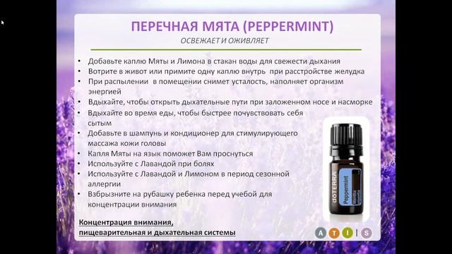 Как использовать эфирные масла в качестве домашней аптечки? Семейный набор эфирных масел
