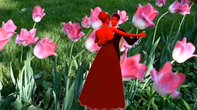 Играй,гармонь😍любимая!Песня😍Танец цветов исп.Галина гармонист самоучка)) смотреть онлайн