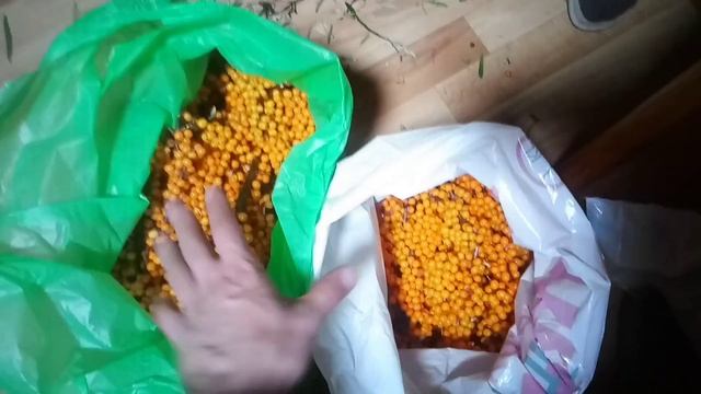 Как правильно обработать собранную облепиху? смотреть онлайн