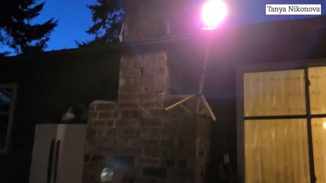 Мульчируем грядки с ТОМАТАМИ на огороде.  Мульча из свежескошенной травы.