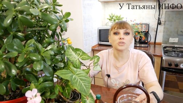 ПЕРЕКИСЬ ВОДОРОДА ДЛЯ КОМНАТНЫХ ЦВЕТОВ / Быстро растут и не болеют! смотреть онлайн