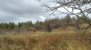 Ловля дас ист фантастиш гуд с элементами магии две ловли в одном  за 17 минут.mp4