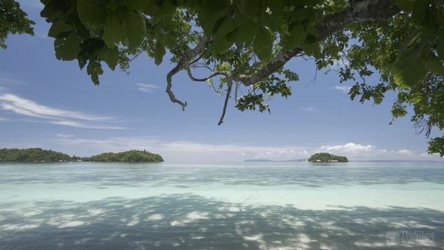 4K HDR Tropical Beach - Gentle Ocean Wave Sounds - Peaceful Wild Island - Relaxi