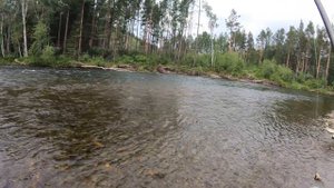 ОДИН ПО ТАЙГЕ, БРОЖУ РЕКУ! ПОЙМАЛ КРАСНОКНИЖНИКА! ЕСТЬ ЗАЧЁТНЫЙ ХАРИУС!