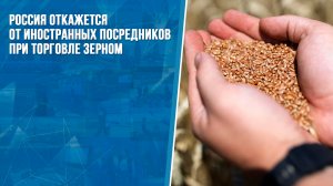Россия откажется от иностранных посредников при торговле зерном