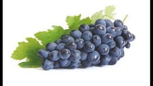 УСТОЙЧИВЫЕ К БОЛЕЗНЯМ СОРТА ВИНОГРАДА