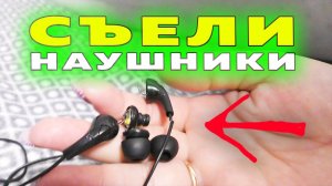 Щенкам шпица 62 дня. Первое ЧП. О мишках-мимишках. Планы на май. Грозная Рыжулька