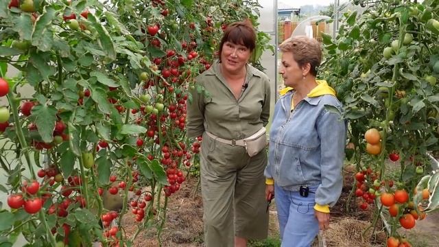 В гостях у Натальи Петренко Часть 2