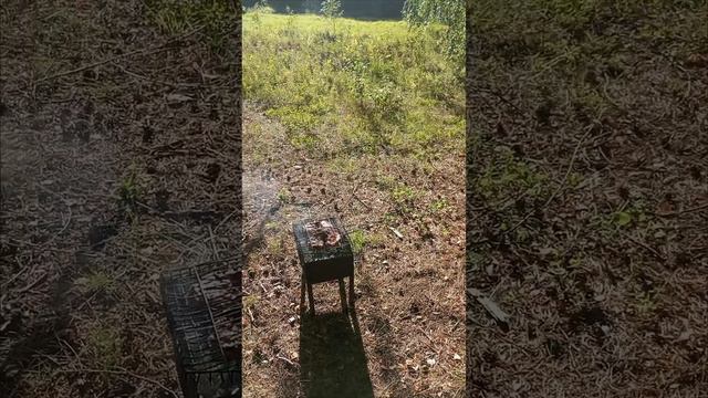 шашлык и берёзы на речном берегу.#shorts смотреть онлайн