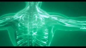 Уникальное Упражнение Для Внутренних Органов