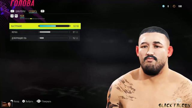 Как создать Аугусто Сакаи в UFC 4