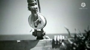 Разочаровался в жизни и выбрал одиночество. 3 цитаты Ален Делона