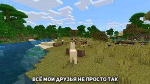 КОШКА ПОЁТ ЧИКИБАМБОНИ ПЕСНЯ | ВСЕ ВИДЫ | MINECRAFT МУЗЫКА