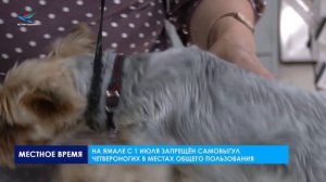 На Ямале с 1 июля запрещён самовыгул четвероногих в местах общего пользования