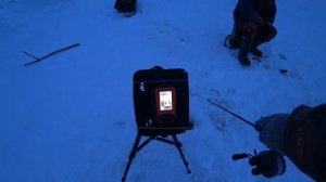 Полные санки СУДАКА за 15 минут! Ловля судака на вибы зимой! Рыбалка на Оке!