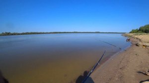 Рыбалка Иртыш 2023  Тобольск . Лещ Язь гнёт палки  2 часть .