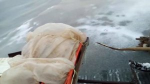 Чутское озеро чуть не обделались   ?