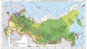 Лесная промышленность