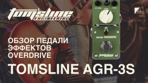 Обзор педали эффектов TOMSLINE AGR-3S