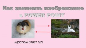 Как заменить изображение в Power Point