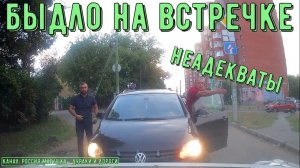 Быдло на встречке #162! Подборка на видеорегистратор!