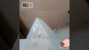 Unboxing Food processor