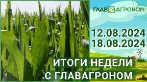 Итоги недели с ГлавАгроном. 12.08.2024 - 18.08.2024