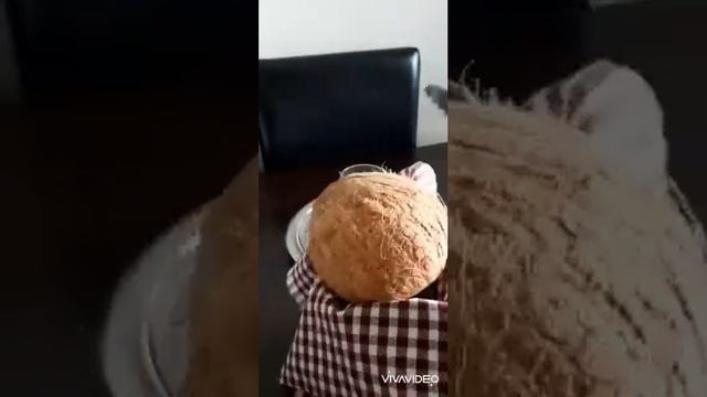 How to cut a coconut? Ինչպե ՞ս բացել կոկոսը։🥥 смотреть онлайн