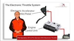 The operation of a 6 pin Siemens VDO electronic throttle