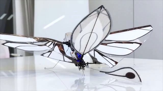 Metafly Drone / Robotic Drone Flying Like A Bird Or An Insect