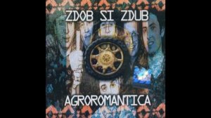 Zdob Si Zdub   Hora Cosmica