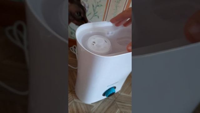 Быстрый обзор Увлажнителя воздуха STARWIND SHC1322 смотреть онлайн